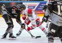 Swindon Wildcats 2 will be playing next season