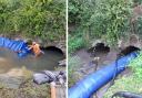 Before and after the temporary dam was put in place