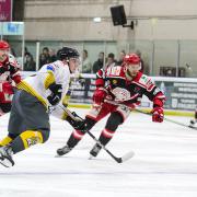 Eddie Bebris - Swindon Wildcats v The Bees Photo: KLM Photography