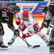 The Swindon Wildcats