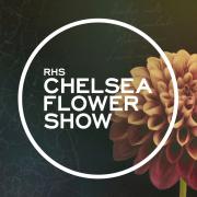 Find out how you can watch the RHS Chelsea Flower Show on the BBC.