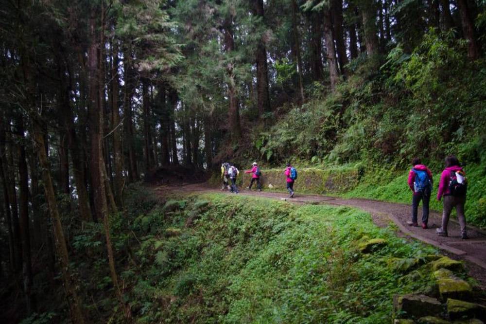 特富野古道