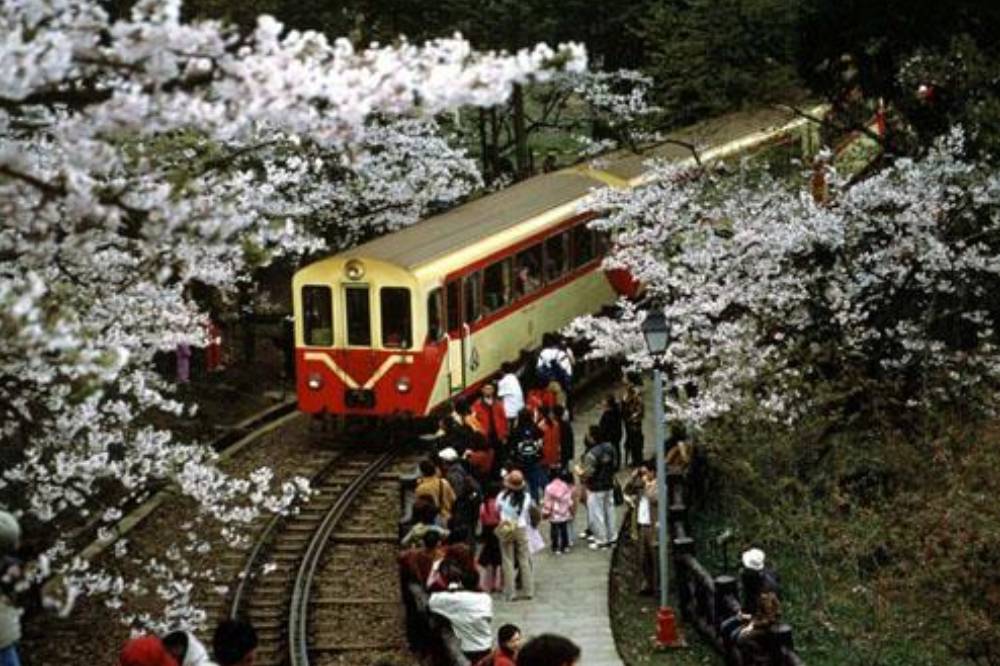 阿里山國家風景區