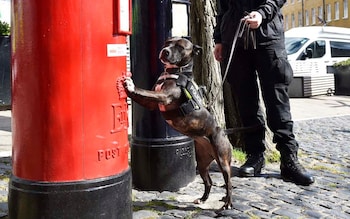 Roxy completed her training last year and recently worked at the funeral of the Duke of Edinburgh