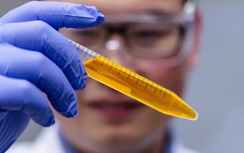 Dr Zihao Ou holds up test tube containing the food dye