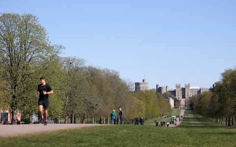 Visitor on the Long Walk avenue near Windsor Castle 