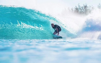 Prince Harry surfing