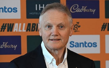 Joe Schmidt - One year to fix Australia: Joe Schmidt and Phil Waugh on the battle to revive the Wallabies