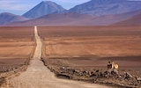 Atacama Desert