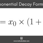 Exponential Decay Equation