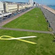 A giant yellow ribbon unveiled on Hove Lawns in July