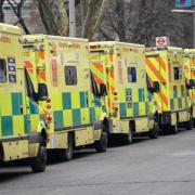 Patients are being advised to utilise other NHS services