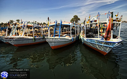 Nile Cruise Boats along the dock at Luxor