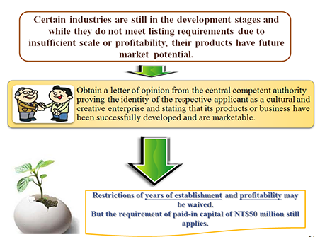 Explain: How to Enter the Capital Market