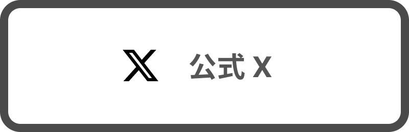 公式X