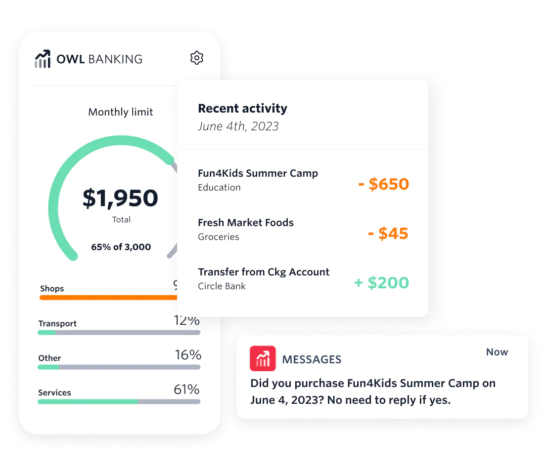 UI showing OWL banking customer service and virtual bank account information