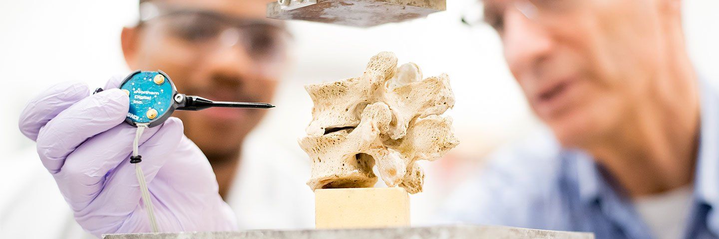 Two scientists wearing goggles closely look at a portion of a spine.