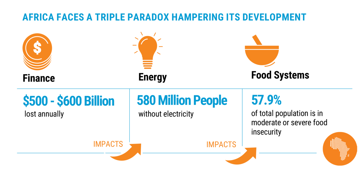 Africa faces a triple paradox hampering its development