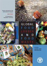 Global food losses and food waste. Extent, causes and prevention