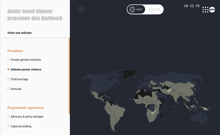 Image capture of the UNFPA's Gender Based Violence dashboard.