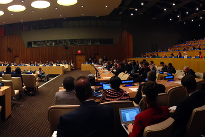 The ECOSOC humanitarian Affairs Segment in 2014