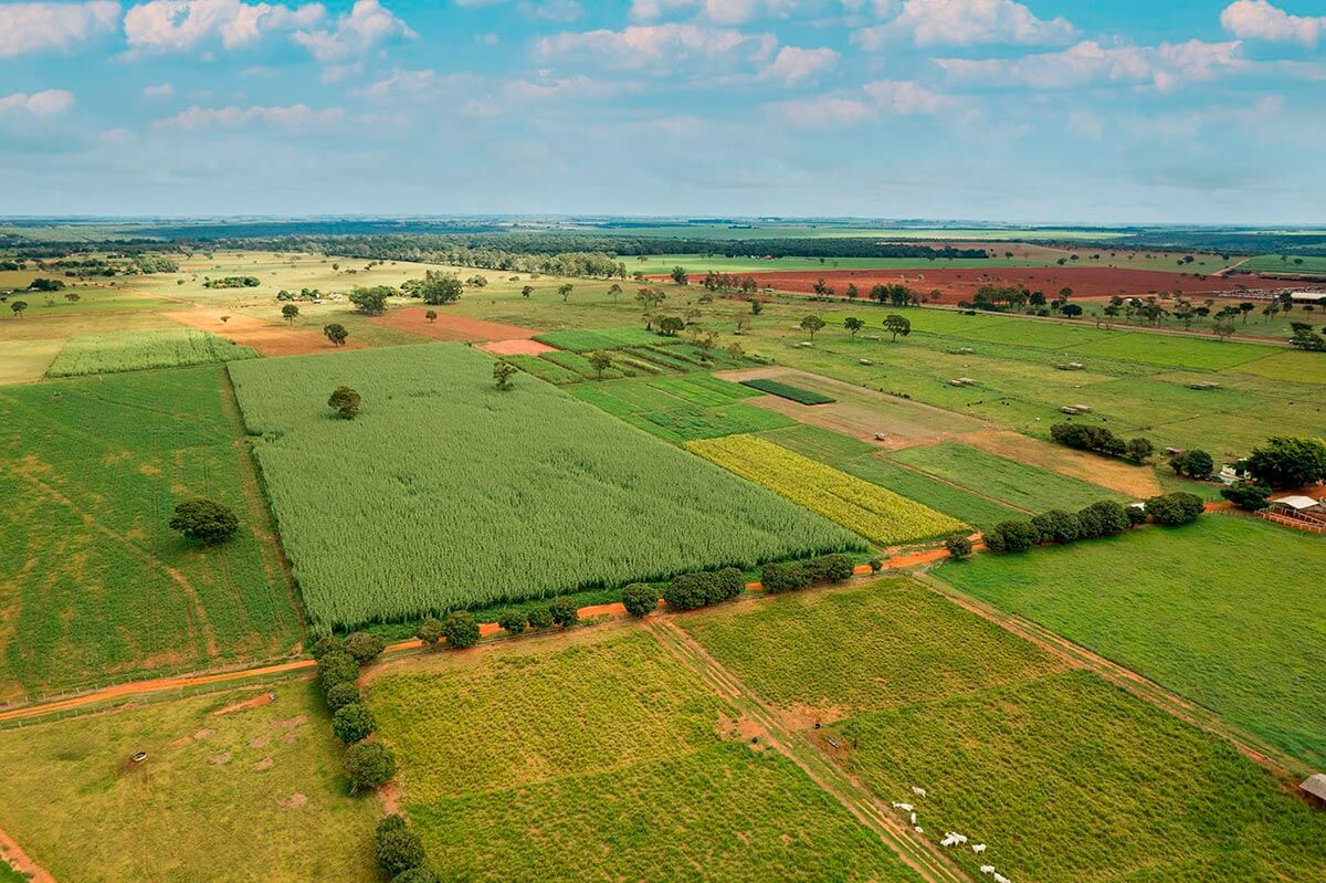 Fazenda Experimental Unoeste