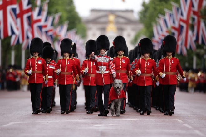 Members of the Household Division, including the regimental Irish Wolfhound mascot Turlough Mor take part in Britain's King Charles' Birthday Parade in London, Britain June 15, 2024.