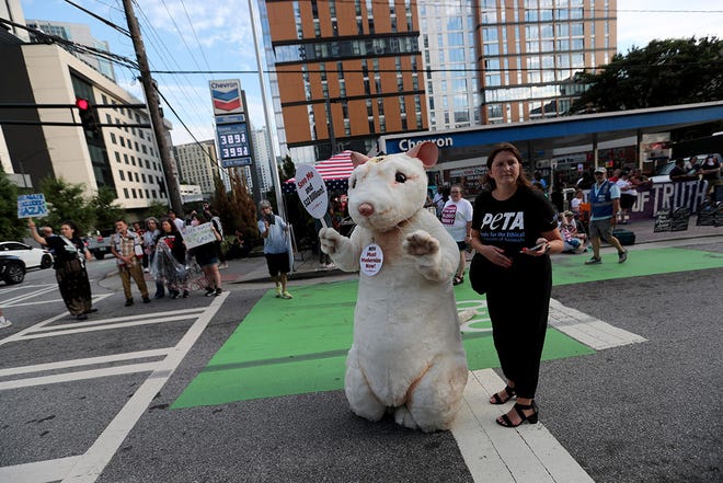 A PETA supporter in mouse costume stands at the corner of Spring Street and 10th during the CNN Presidential Debate between President Joe Biden and former President Donald Trump held at CNN's studios in Atlanta.PETA is protesting the use of animals for laboratory testing.
