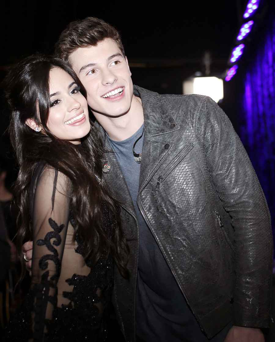 Shawn Mendes and Camila Cabello Adorable Romance