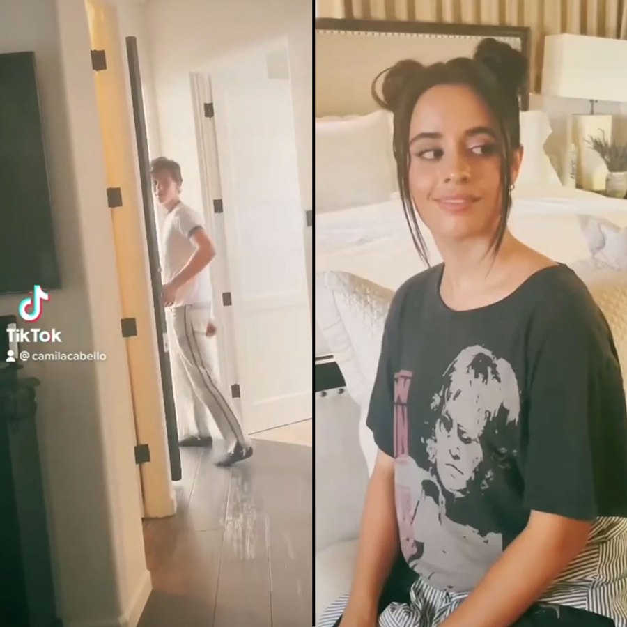 Camila Cabello TikTok Fart