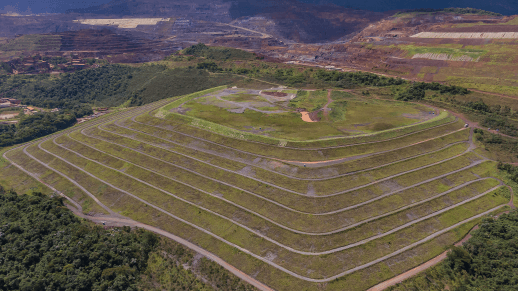 Aerial view of a field with surrounding trees