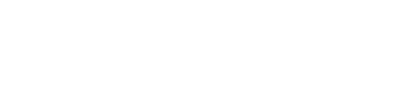 Valsts ieņēmumu dienests