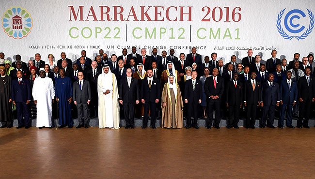 Cop 22