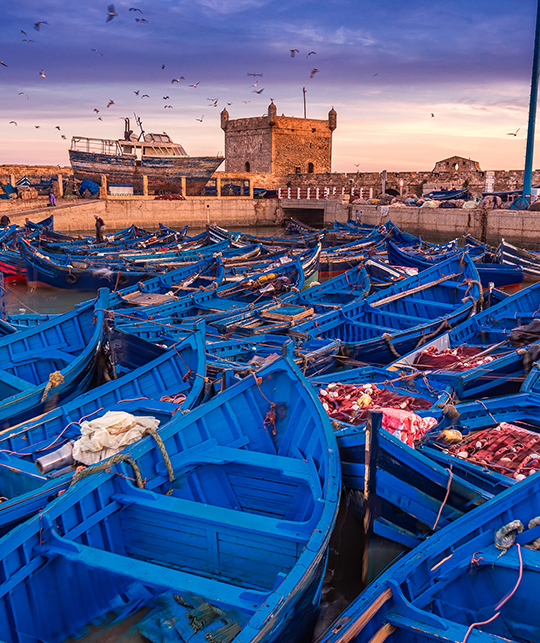 Port of Essaouira