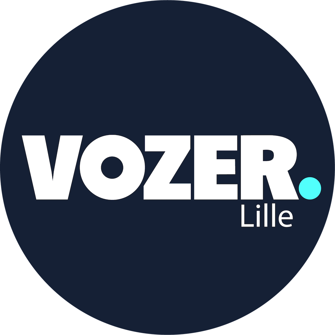 Logo Vozer