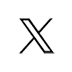 X Icon