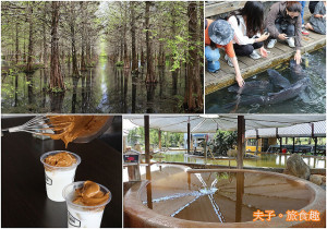 花蓮必遊 雲山水水森林 立川漁場 舞鶴茶園公主咖啡 虎爺溫泉