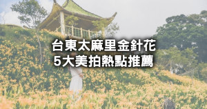 台東太麻里金針花美拍攻略！太麻里5大金針花熱點，忘憂谷、千禧亭、吳忠憲賞花區賞花路線一次看懂。