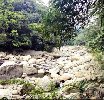 蓬萊溪護魚步道