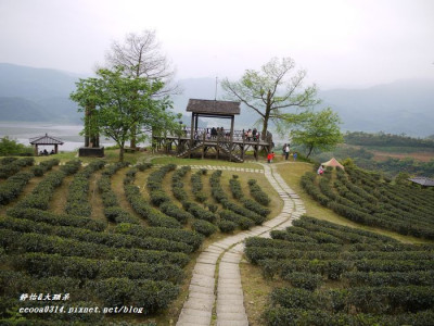 玉蘭茶園