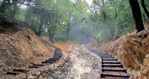 台北最新步道！搭公車上陽明山「紫明溪步道」親子旅遊新選擇，沿途「野溪溫泉」免費泡超紓壓。