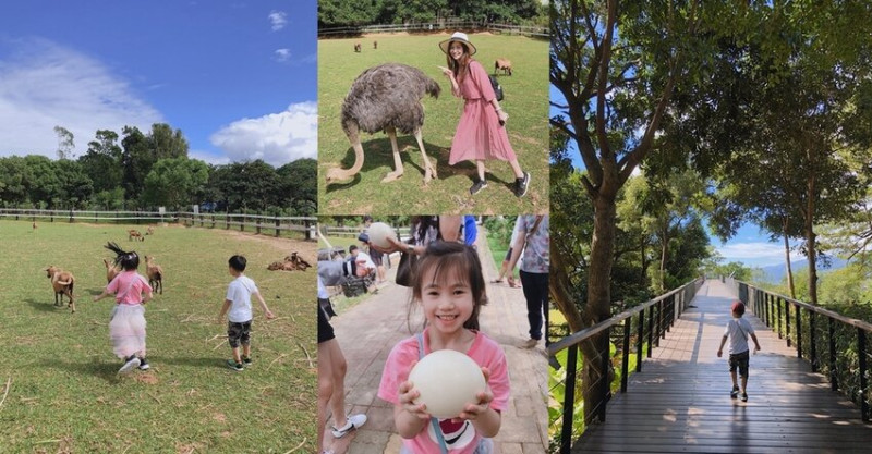 被鴕鳥跟山羊包圍！還有免費牧草可以餵動物！台東原生植物園好好玩呀！親子景點推薦。台東景點。卑南景點。