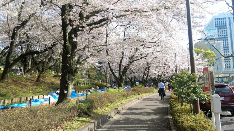 日本千鳥淵、飯田橋外濠公園、目黑川、還有…….東京不可錯過賞櫻景點8選