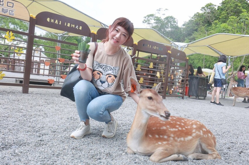 宜蘭縣宜蘭市宜蘭斑比山丘Bambi Land｜冬山親子景點必訪小奈良餵食鹿鹿好療癒，鹿鹿抽愛情籤詩～好拍也好玩！