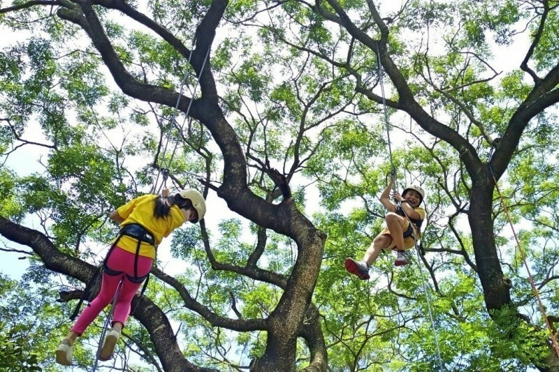 桃園市復興區夏日探秘北橫山林》夏天必體驗三種「天然冷氣」消暑遊程