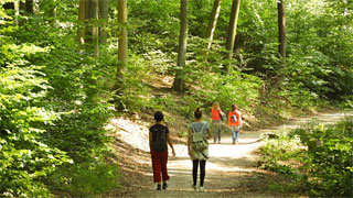 group of hikers