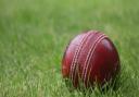 Weekly cricket round-up by Steve Hill 