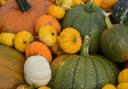 Pumpkin stock. Photo: Newsquest