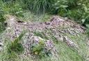 Sewage overflowed on to Stonesfield Common