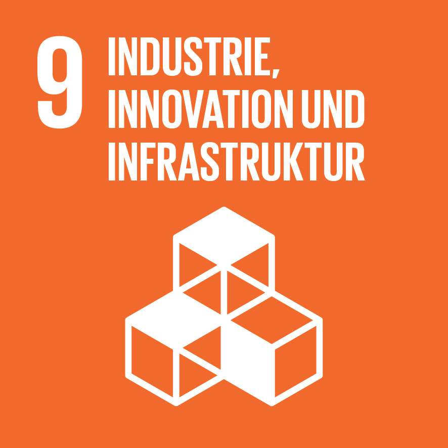 SDG 9